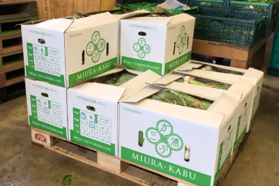 段ボールデザイン